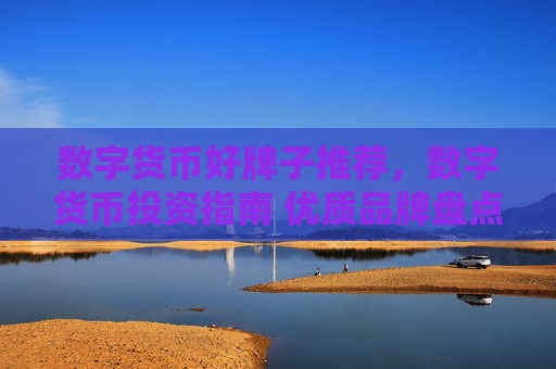 数字货币好牌子推荐,数字货币投资指南 优质品牌盘点