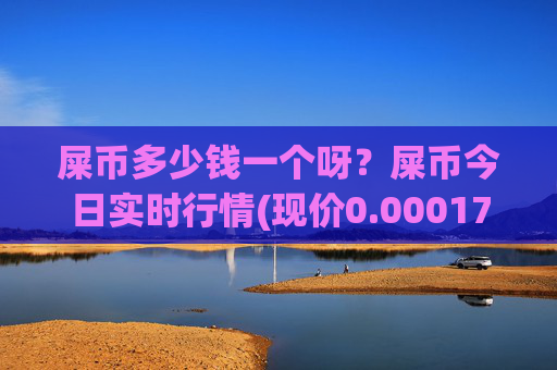 屎币多少钱一个呀?屎币今日实时行情(现价0.00017581元)