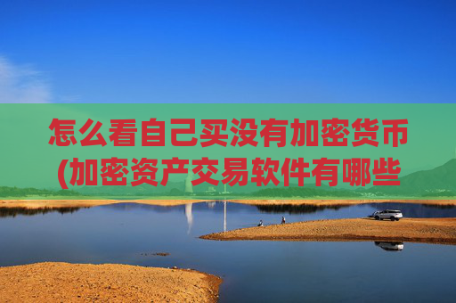 怎么看自己买没有加密货币(加密资产交易软件有哪些)