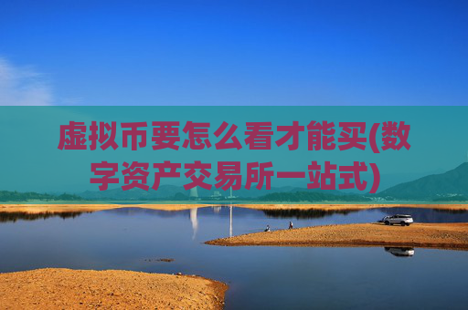 虚拟币要怎么看才能买(数字资产交易所一站式)