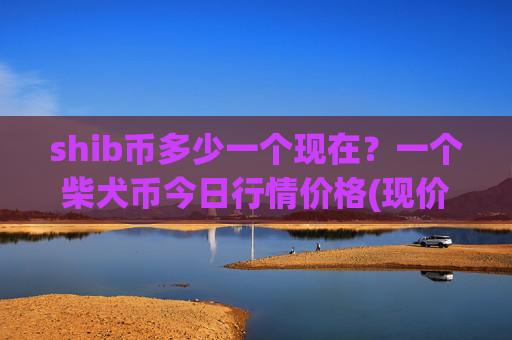 shib币多少一个现在?一个柴犬币今日行情价格(现价0.00017554元)