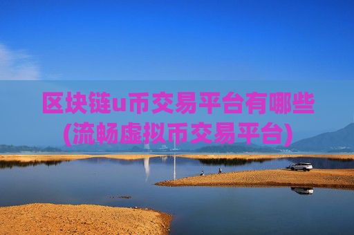 区块链u币交易平台有哪些(流畅虚拟币交易平台)