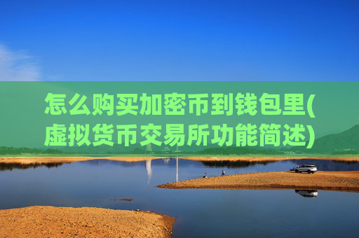 怎么购买加密币到钱包里(虚拟货币交易所功能简述)