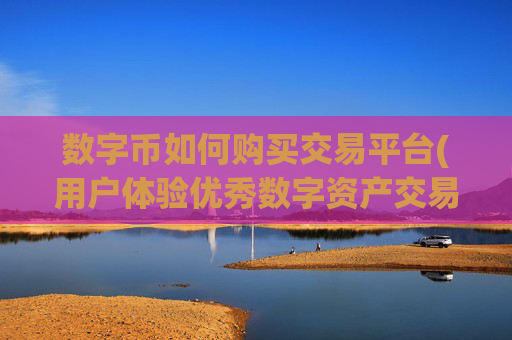 数字币如何购买交易平台(用户体验优秀数字资产交易客户端)