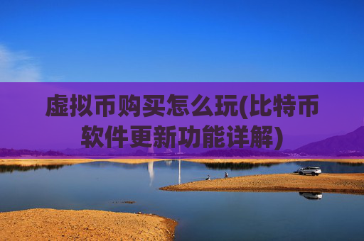 虚拟币购买怎么玩(比特币软件更新功能详解)