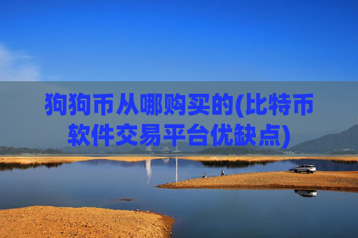 狗狗币从哪购买的(比特币软件交易平台优缺点)