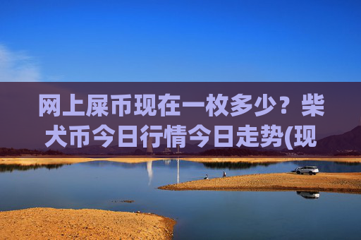 网上屎币现在一枚多少？柴犬币今日行情今日走势(现价0.00017632元)