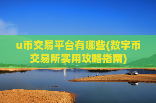 u币交易平台有哪些(数字币交易所实用攻略指南)