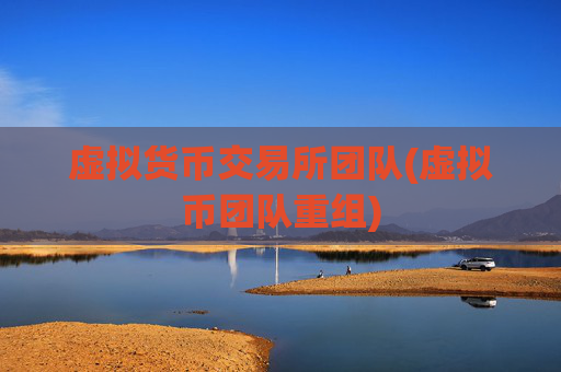 虚拟货币交易所团队(虚拟币团队重组)