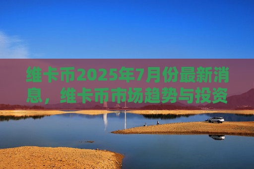 维卡币2025年7月份最新消息,维卡币市场趋势与投资分析
