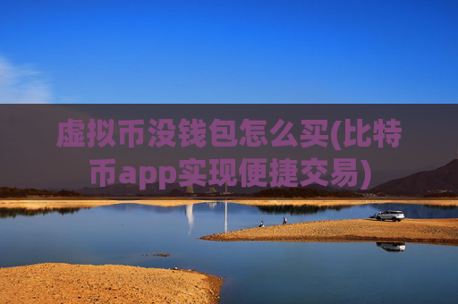 虚拟币没钱包怎么买(比特币app实现便捷交易)