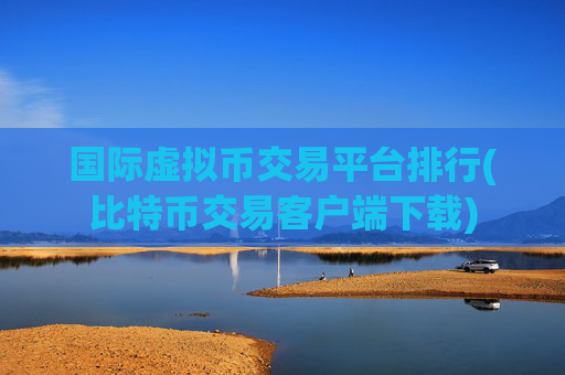国际虚拟币交易平台排行(比特币交易客户端下载)