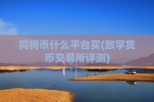 狗狗币什么平台买(数字货币交易所评测)