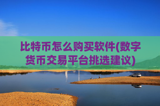 比特币怎么购买软件(数字货币交易平台挑选建议)