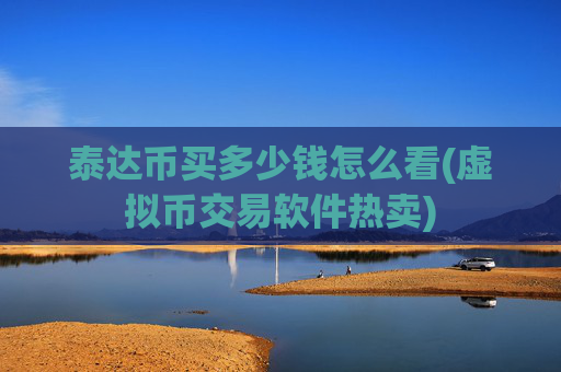 泰达币买多少钱怎么看(虚拟币交易软件热卖)