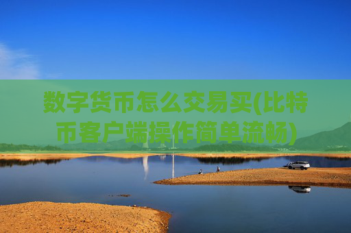 数字货币怎么交易买(比特币客户端操作简单流畅)