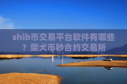 shib币交易平台软件有哪些?柴犬币秒合约交易所