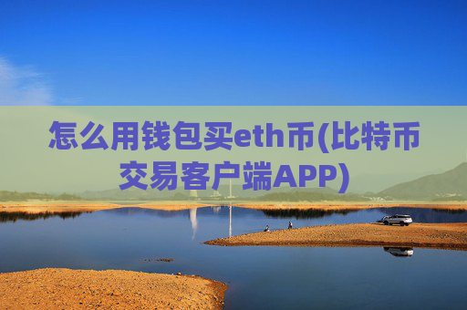 怎么用钱包买eth币(比特币交易客户端APP)