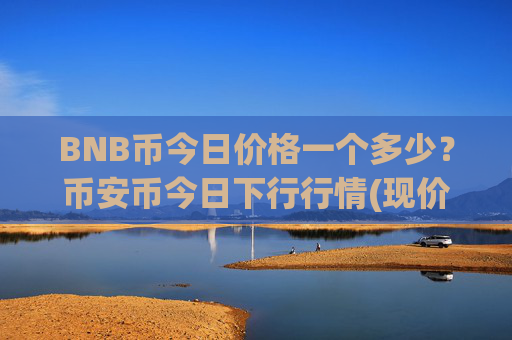 BNB币今日价格一个多少?币安币今日下行行情(现价5302.18元)