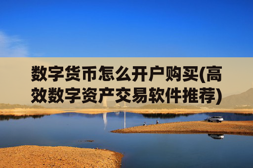 数字货币怎么开户购买(高效数字资产交易软件推荐)