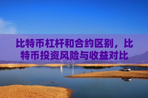 比特币杠杆和合约区别,比特币投资风险与收益对比