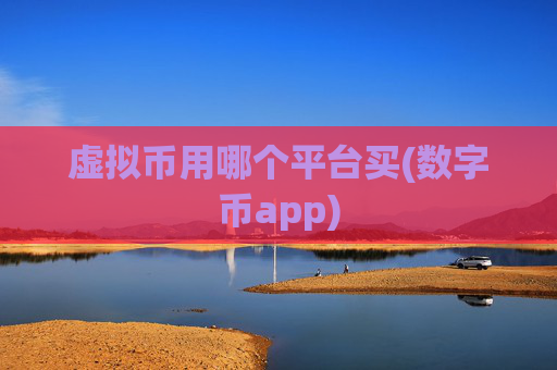 虚拟币用哪个平台买(数字币app)