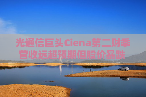 光通信巨头Ciena第二财季营收远超预期但股价暴跌 CEO出面安抚