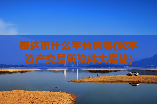 泰达币什么平台购买(数字资产交易所软件大揭秘)