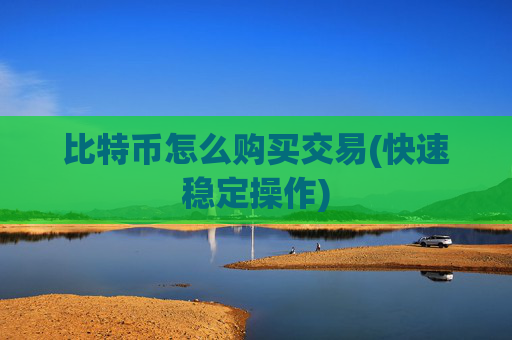 比特币怎么购买交易(快速稳定操作)