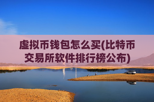 虚拟币钱包怎么买(比特币交易所软件排行榜公布)