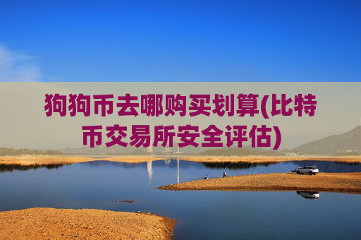 狗狗币去哪购买划算(比特币交易所安全评估)