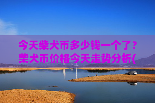 今天柴犬币多少钱一个了？柴犬币价格今天走势分析(现价0.00022374元)