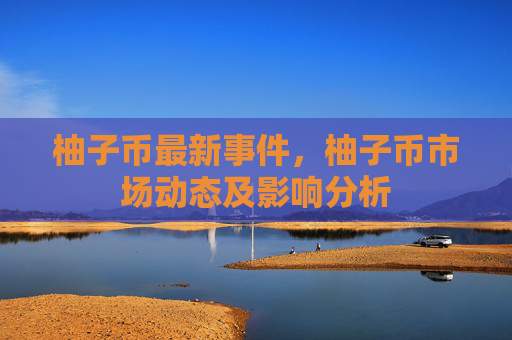 柚子币最新事件，柚子币市场动态及影响分析