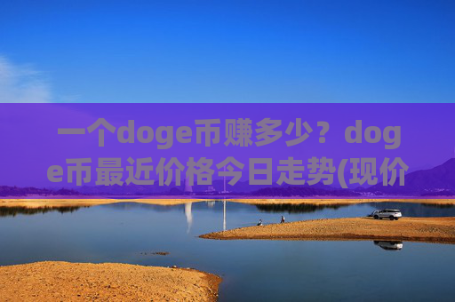 一个doge币赚多少?doge币最近价格今日走势(现价3.1655元)