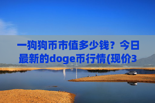 一狗狗币市值多少钱?今日最新的doge币行情(现价3.1647元)
