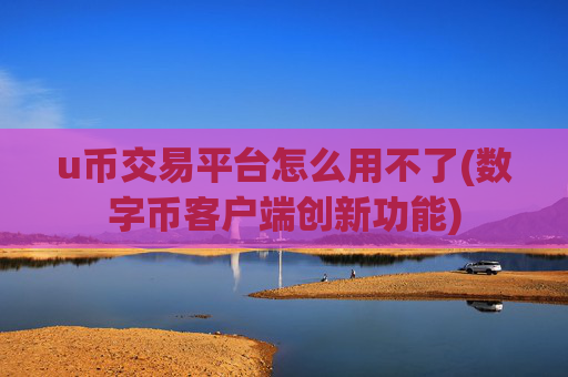 u币交易平台怎么用不了(数字币客户端创新功能)