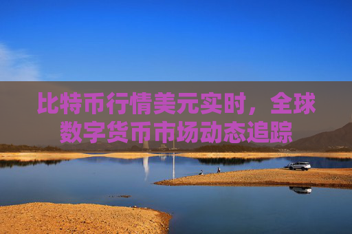 比特币行情美元实时，全球数字货币市场动态追踪