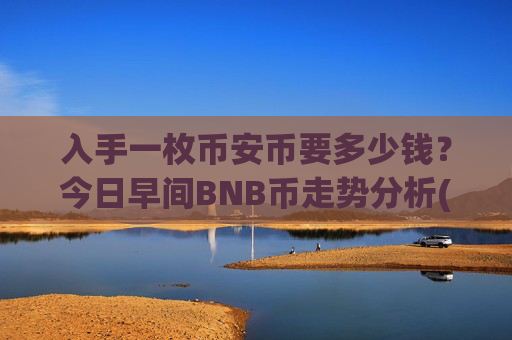 入手一枚币安币要多少钱?今日早间BNB币走势分析(现价5295.5元)