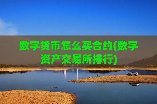 数字货币怎么买合约(数字资产交易所排行)