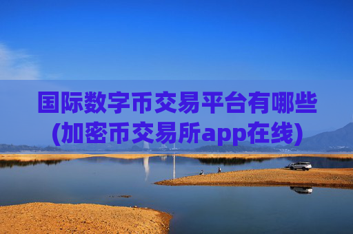 国际数字币交易平台有哪些(加密币交易所app在线)
