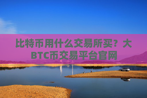 比特币用什么交易所买？大BTC币交易平台官网