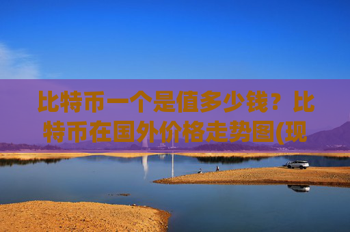 比特币一个是值多少钱？比特币在国外价格走势图(现价710336.27元)