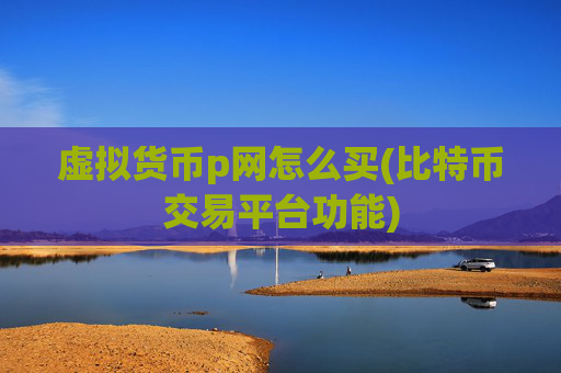 虚拟货币p网怎么买(比特币交易平台功能)