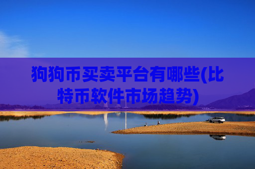 狗狗币买卖平台有哪些(比特币软件市场趋势)