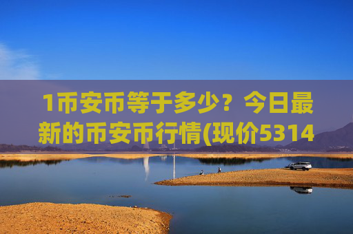 1币安币等于多少？今日最新的币安币行情(现价5314.59元)