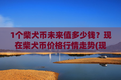 1个柴犬币未来值多少钱？现在柴犬币价格行情走势(现价0.00022474元)