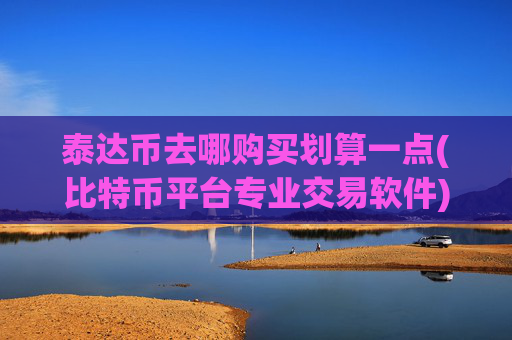 泰达币去哪购买划算一点(比特币平台专业交易软件)