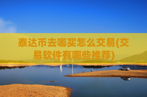 泰达币去哪买怎么交易(交易软件有哪些推荐)