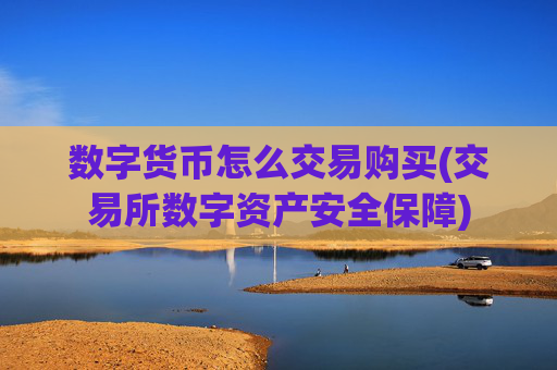 数字货币怎么交易购买(交易所数字资产安全保障)