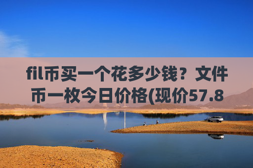 fil币买一个花多少钱?文件币一枚今日价格(现价57.8915元)
